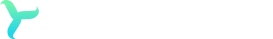 Boomerang Insurance logo